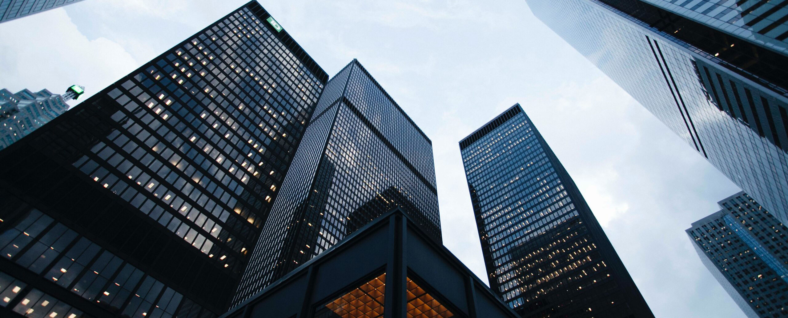 Metropolitan Cityscape